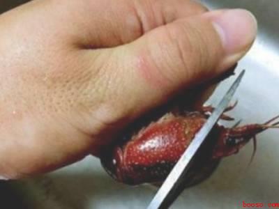 龙虾怎样处理才干净