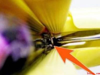 大卫拖把怎么换海绵头