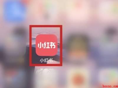 小红书怎么复制链接到浏览器（演示机型:Iphone 13）