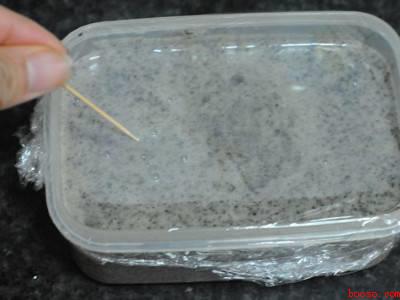 熟黑芝麻粉怎么吃