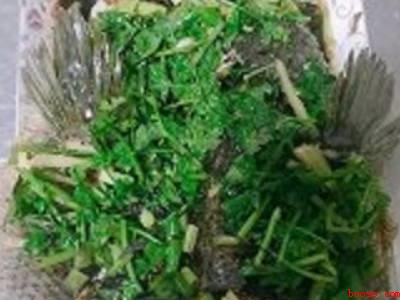 怎样做清蒸鱼又嫩又好吃