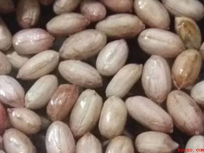 生花生怎么保存