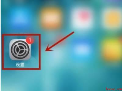 苹果手机的流量开关在哪里（iphone12如何找到流量开关）