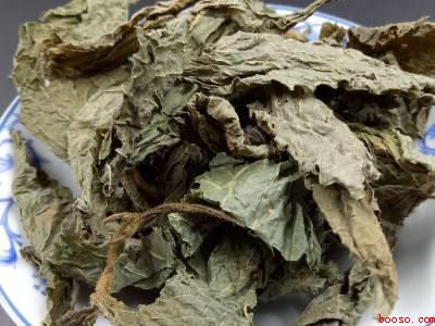 紫苏怎么保存一年