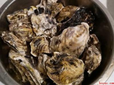 牡蛎怎么做好吃