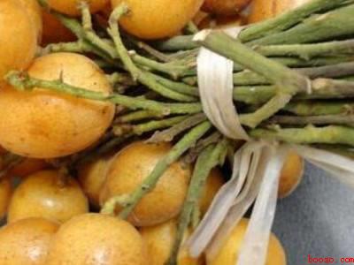 自制黄皮干制作方法