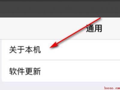 ipad怎么看芯片型号