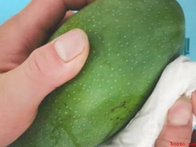 芒果怎么放容易熟