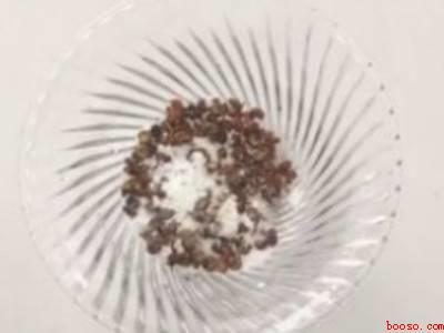 小黑蚊子怎么驱除