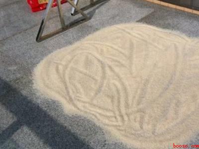 夏天大米里有小黑虫怎么办