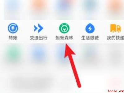 支付宝种树怎么换主树（演示机型:Iphone 13）
