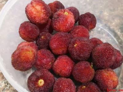 杨梅怎么才好吃