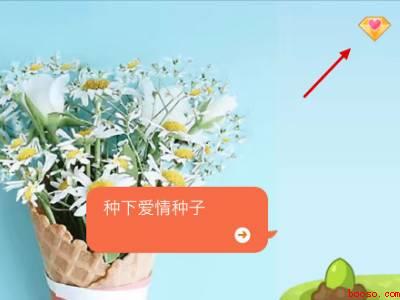 情黄是怎么开通的（演示机型:Iphone 12）