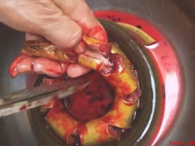 鳝鱼在家怎么杀