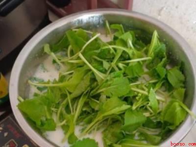 菜豆腐怎么吃