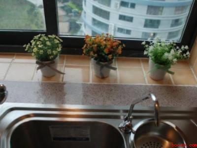 厨房鼻涕虫彻底铲除的办法