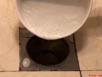 苍蝇幼虫怎么杀死