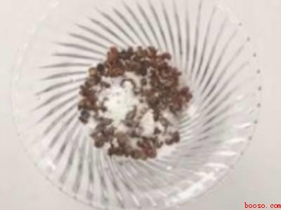 自制灭蚊子的小妙招