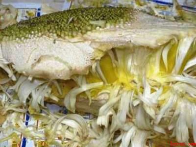 树菠萝怎么开不粘手