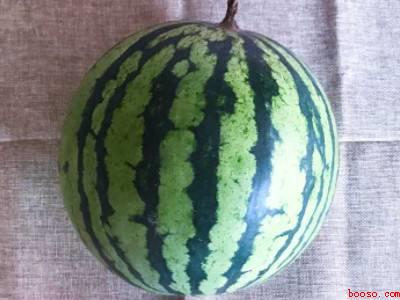 生西瓜怎么放可以放熟