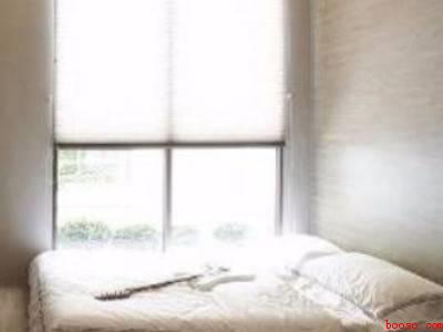 蜘蛛网怎么彻底清除