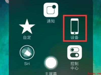 苹果11从底部无法上滑