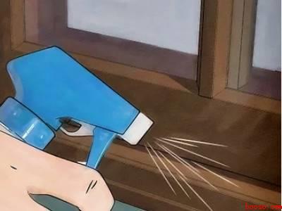 家里有臭虫怎么办能除根