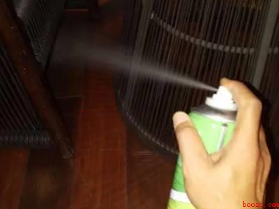 潮虫怎么彻底消灭