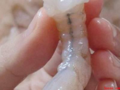 青虾怎么处理干净