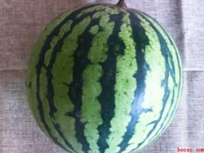 西瓜催熟方法