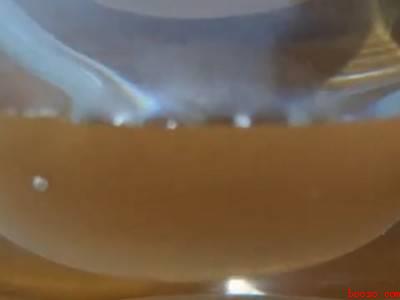 茶蛋的配料及制作方法窍门