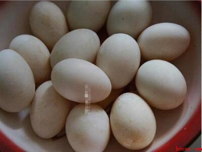 怎样盐腌鸭蛋好吃有油