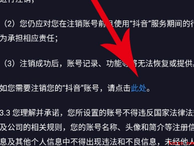 抖音号注销了别人看是什么样子的(演示机型:Iphone 13)
