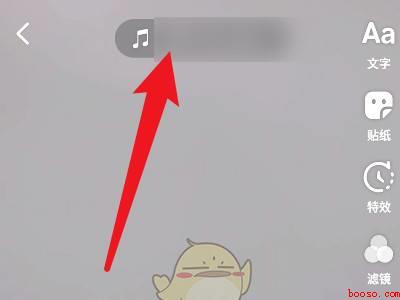 拍抖音没有自己的声音（演示机型:Iphone 12）