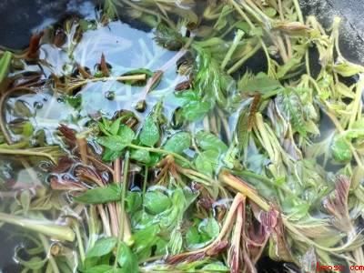 香椿芽怎么做才好吃