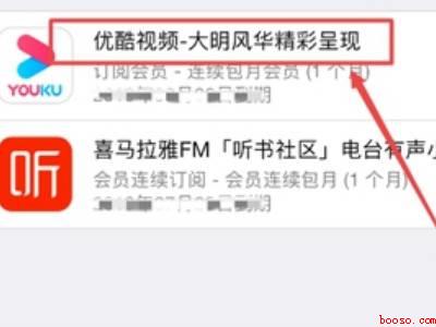苹果12怎么关闭付费项目