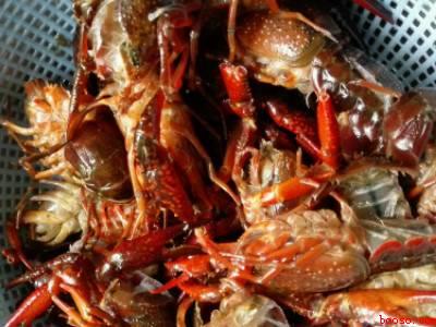 椒盐龙虾怎么做