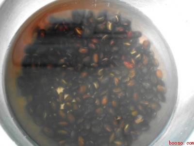 黑豆怎么做好吃又有营养