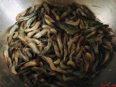 河虾怎么做好吃又简单