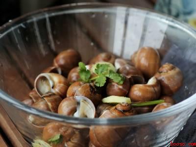 小香螺怎么做好吃