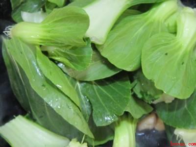 贝柱怎么做好吃