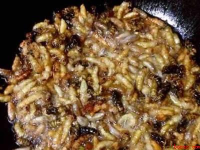 马蜂蛹怎么吃