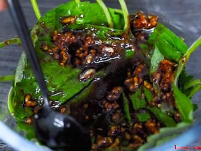 新鲜的紫苏叶怎么吃