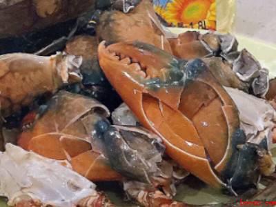 蟹怎么杀怎么清洗