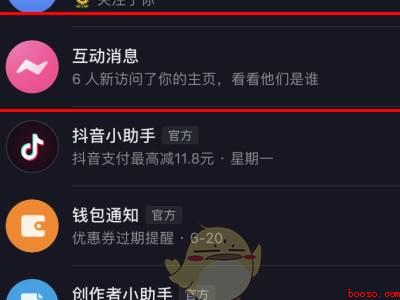 怎么设置抖音主页访客（演示机型:Iphone 12）