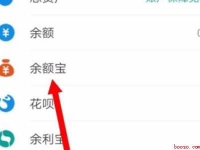 支付宝每笔消费攒钱在哪里看（演示机型:Iphone 12）
