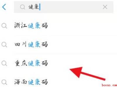 出行码健康码怎么弄（演示机型:Iphone 12）