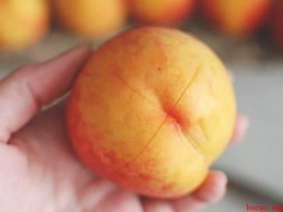 野生小桃子怎么快速去皮