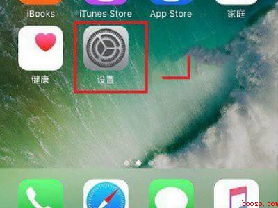 苹果手机地图怎么设置语言