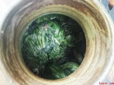 盐菜怎么腌制方法